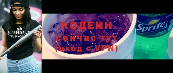 дмт Горнозаводск