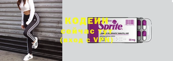 герыч Вяземский
