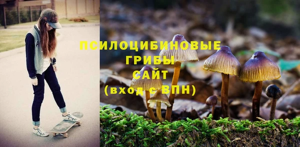 гидра Вязники