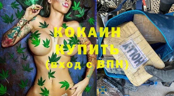 гидра Вязники