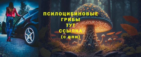 дмт Горнозаводск